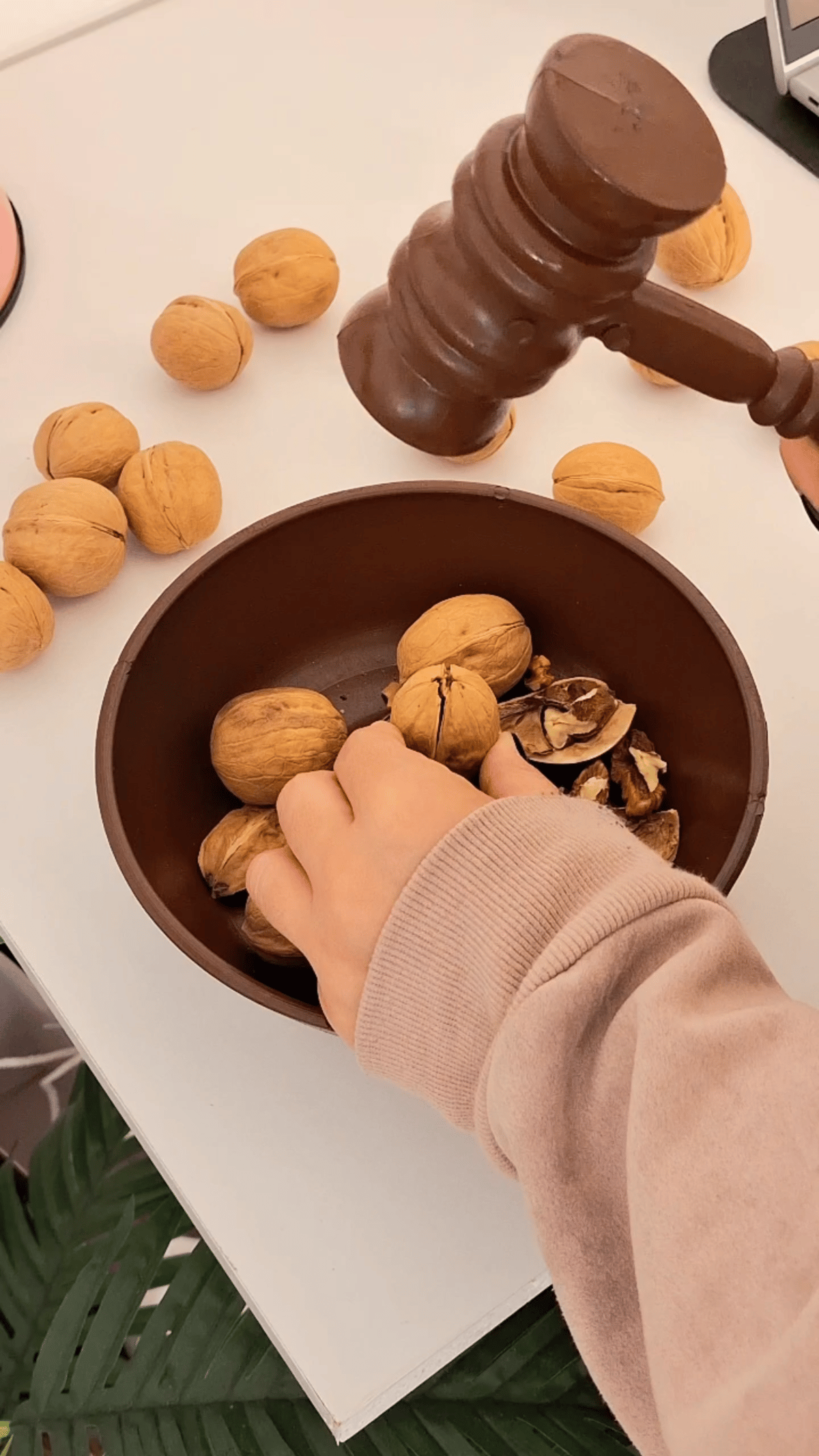 كسارة جوز ومكسرات - 7
