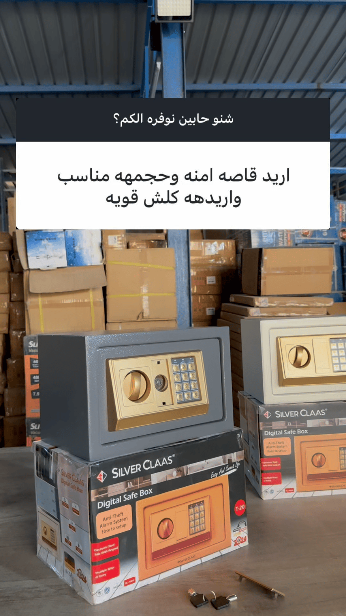 قاصة حجم صغير من سلفر كلاس - 10